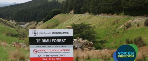 Broken Promises To Protect Productive Farmland From Going Into Exotic Forests