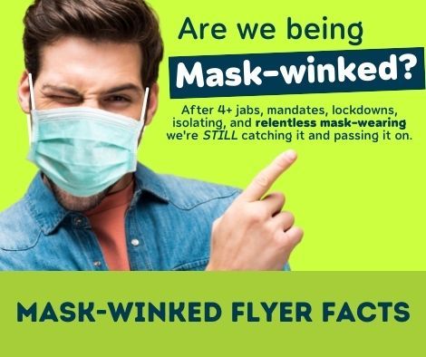 Mask-Winked Flyer Facts